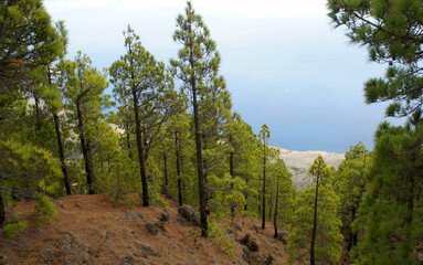 Landscapes of El Hierro.Canary islands.Spain.