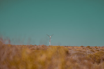 AUSTRALIA © Graciana