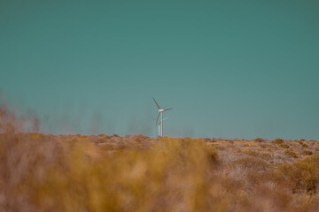 AUSTRALIA © Graciana