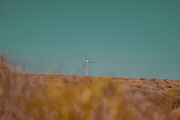 AUSTRALIA © Graciana