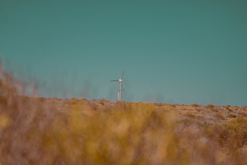 AUSTRALIA © Graciana