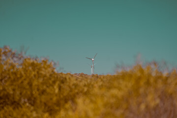 AUSTRALIA © Graciana