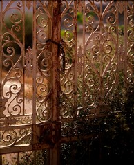 gate, wrought iron