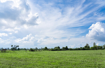Blue sky and beautiful cloud with tree. Plain landscape background for summer season. Best weather view for travelling. sky scenery