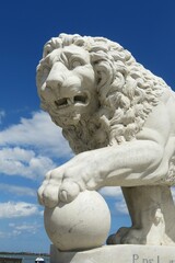 White lion statue in St Augustine city