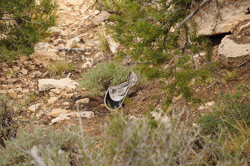 Cap fallen in the bushes at one of the lookouts in Grand Canyon National Park, Arizona