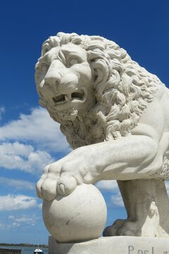 White Lion Statue In St Augustine City