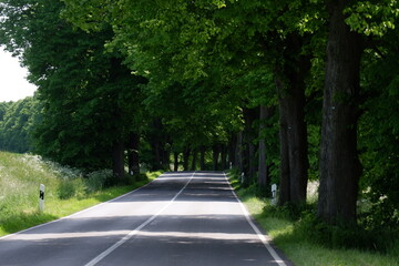 Waldstraße