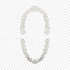 Vector 3d Realistic Teeth, Upper, Lower Adult Jaw, Top View. Anatomy Concept. Orthodontist Human Teeth Scheme Isolated. Medical Oral Health. Design Template of Prosthetics, Periodontal Disease Gums
