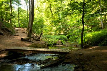 Fototapeta premium Magical hiking trail with wooden bridge through the rhineland palatinate forest with granite boulders on the forest. Tourism and hike concept. Trippstadt, Rhineland-Palatinate, Germany