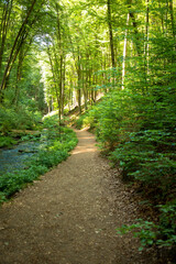 Magical hiking trail through the rhineland palatinate forest  with granite boulders lying on the forest floor. Tourism and hike concept. Trippstadt, Rhineland-Palatinate, Germany