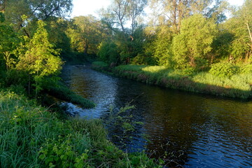 Fototapeta premium landscape with river and trees, early morning sunlight. beautiful scenery. River Lauce, Latvia 