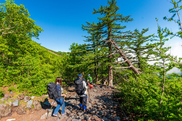 Fuji Mountain in Japan