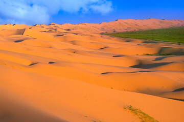 Fototapeta na wymiar Sand waves in Khongoryn Els, the singing sands area, Gobi desert, Mongolia