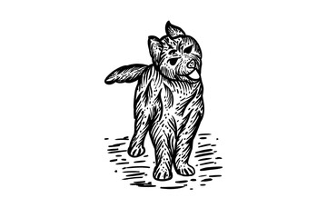 Vector Design Dog hand drawn in color black with white background
