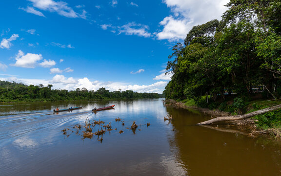 Exotic Nature Landscape Of The Suriname River
