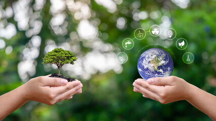 Planet exchange with clean energy icon in human hand with small tree in human hand. Environmental conservation concept, elements of this image furnished by NASA.