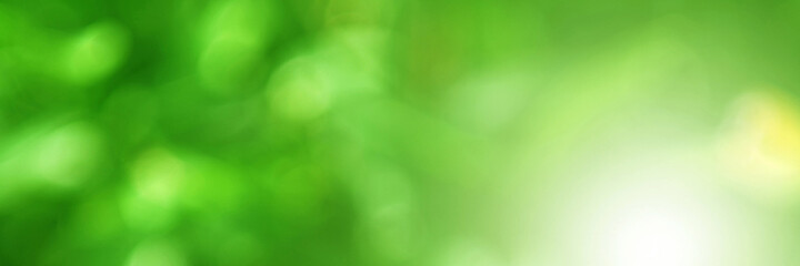 Fototapeta na wymiar Green Leaf background. Blurred leaves and circular bokeh. Abstract for design and wallpaper.
