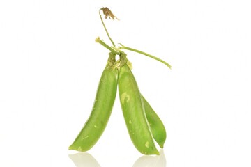 Three ripe organic, green pea pods, close-up, isolated on white.