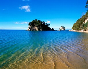 new zealand, south island, kaiteriteri, coast, bay, island, vegetation, sea, water, shallow, waves, calm, solitude, idyll, nature, 