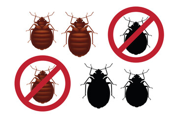 Warning stop signs with colored detailed image of an bedbug and its bla