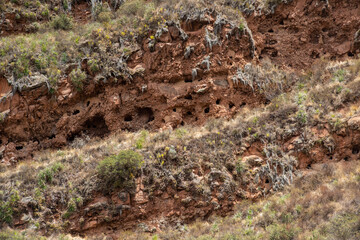 Pisac Archaeological Park, Calca, Cuzco, Peru on October 9, 2014. Ruins and tourist visits.