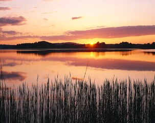 lake, reed, sunset, evening, evening mood, nature, calm, silence, solitude, sun, horizon, picturesque, mood, romantic, deserted, water, shore, lakeside, 