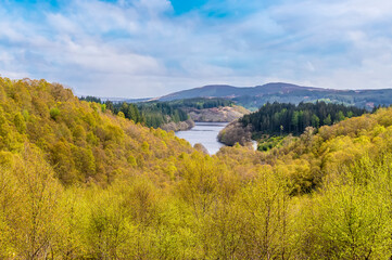 A view over the treetops towards Loch Achray in the Scottish Highlands on a summers day