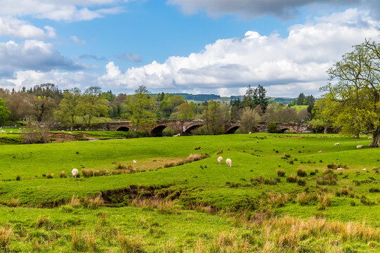 A view towards the Drymen Bridge over Endrick Water in the Scottish Highlands on a summers day