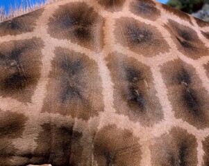 03595191 © VisualEyze