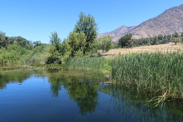 Fototapeta premium Mountain Lake in California Cattails in the Right Frame and a Beautiful Reflection
