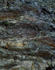 new zealand, south island, west coast, rock, wet, geology, structure, stone, rocks, water, plant, nature, 