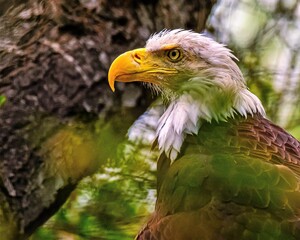 Santa Barbara Zoo
