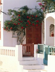 greece, mykonos, house, house wall, hibiscus, cyclades, island, building, entrance, entrance door, front door, architecture, 