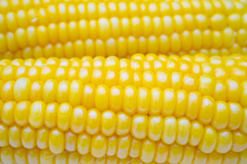 トウモロコシのアップ