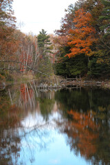 Fall colors reflecting in calm Ontario pond
