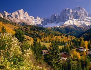 Obraz premium italy, south tyrol, dolomites, catinaccio, vajolet towers, autumn, season, nature, mountains, snow, landscape, mountain landscape, trees, larches, houses, farmhouses, vajolet, catinaccio group, 