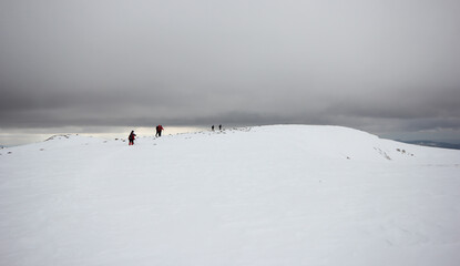 Group of mountaineers walking trough the mountains covered with snow...