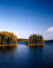 sweden, lake, island, forest, autumn, body of water, water, mixed forest, season, autumnal, autumn...