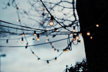 white string lights on tree in front of blue sky