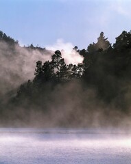 new zealand, north island, thermal area, orakai korako, pine forest, lake, morning, mood, morning atmosphere, fog, rising, haze, landscape, geothermal, steam, smoke, gases, fumarole, nature, 