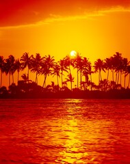 palm island, sunset, 