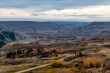 Fall colours on full display in the badlands. Dry Island Buffalo Jump Provincial Park, Alberta, Canada