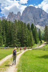 Fototapeta na wymiar Hikers on a trail at an alpine meadow with high mountain peaks