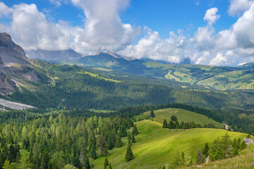 Fototapeta premium Beautiful view of a forest plateau in the Alps