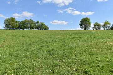 Hunsrücker Landschaft