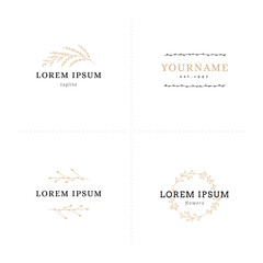 Set of floral hand drawn logo templates. Flowers and leaves, vector illustrations.