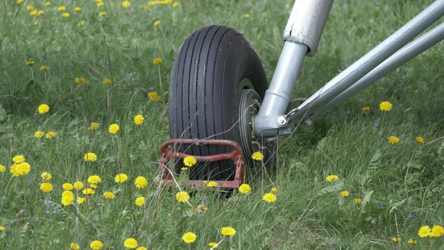 An-2 aircraft landing gear in the grass and yellow dandelions.