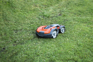 Automatic lawn mower in the process of working - obrazy, fototapety, plakaty