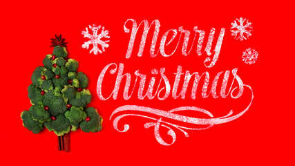 Concept, broccoli tree, with pomegranate seeds, on a red background, merry Christmas, horizontal, no people,